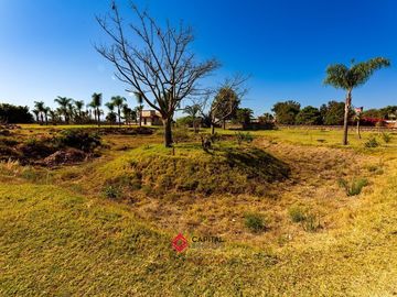 Terreno en Venta con Bodega para usos múltiples Zapotlan del Rey