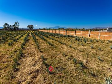 Terreno en Venta con Bodega para usos múltiples Zapotlan del Rey