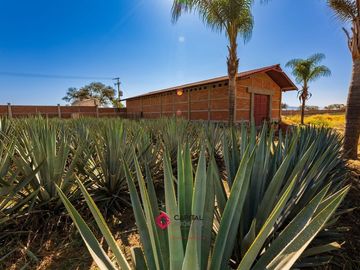 Terreno en Venta con Bodega para usos múltiples Zapotlan del Rey