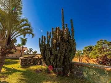 Terreno en Venta con Bodega para usos múltiples Zapotlan del Rey