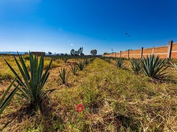 Terreno en Venta con Bodega para usos múltiples Zapotlan del Rey