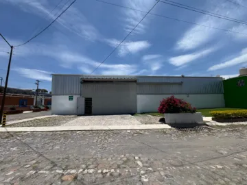 Bodega en Venta y Renta en Santa Bárbara Norte, Puebla, Puebla