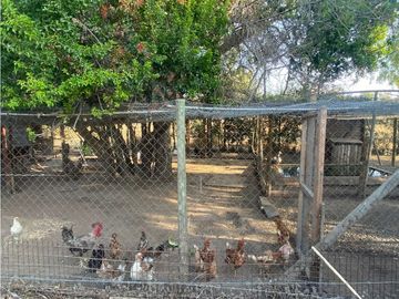 VENDO PARCELA CON CASA EN LA FORESTA DE ZAPALLAR