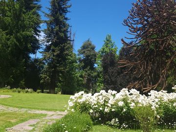 Gran Oportunidad Para Inversionistas  Parcela Parque