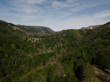 Oportunidad parcela con agua a 30 minutos de PUCÓN
