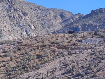 Gestimob Vende Terreno de 5.000 m2., .Sector los Algodones,  comuna de Vicuña, Valle del Elqui.