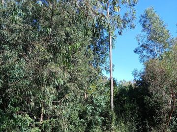 Venta | Terreno con Doble Acceso 920m2 | Guernica | San Vicente