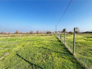 SE VENDE PARCELA 5000 M2 a 5 minutos PELARCO