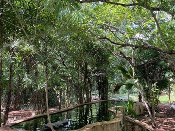 Hermosa Finca de 114 hectáreas  en venta cerca de Mérida