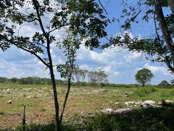 Hermosa Finca de 114 hectáreas  en venta cerca de Mérida