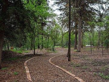 PREVENTA DEPARTAMENTO JUNTO AL BOSQUE DE CHAPULTEPEC