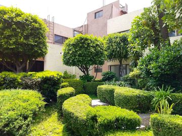 Oficina en Renta en PEDREGAL