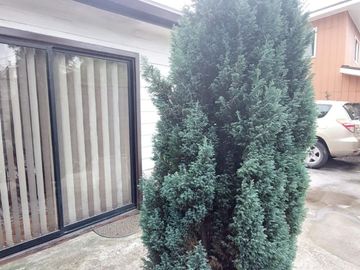 CASA PARA USO COMERCIAL 3D 2B E4 1B  SECTOR EX MATADERO CHIG