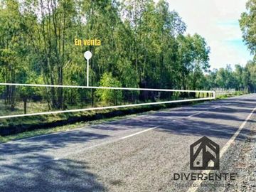 Parcela en venta en San Carlos, orilla de asfalto.
