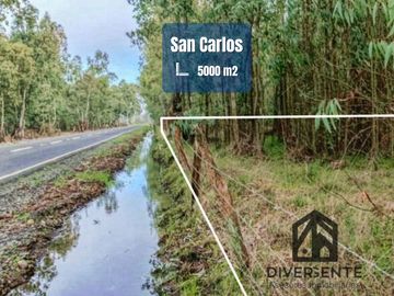 Parcela en venta en San Carlos, orilla de asfalto.