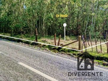Parcela en venta en San Carlos, orilla de asfalto.