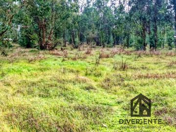 Parcela en venta en San Carlos, orilla de asfalto.