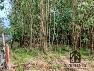 Parcela en venta en San Carlos, orilla de asfalto.