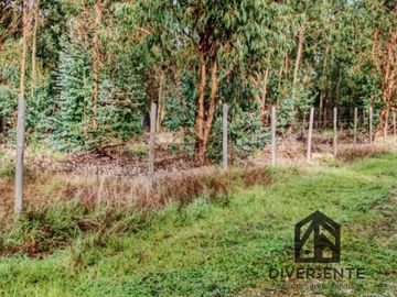 Parcela en venta en San Carlos, orilla de asfalto.