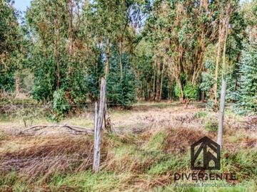 Parcela en venta en San Carlos, orilla de asfalto.