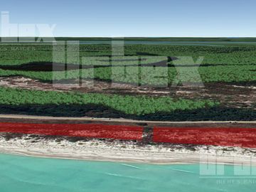 SE VENDE TERRENO EN CARRETERA SABANCUY - CD. DEL CARMEN, CAMPECHE