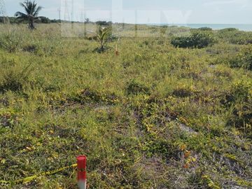 SE VENDE TERRENO EN CARRETERA SABANCUY - CD. DEL CARMEN, CAMPECHE
