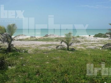 SE VENDE TERRENO EN CARRETERA SABANCUY - CD. DEL CARMEN, CAMPECHE