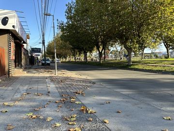 LAGUNILLAS 3