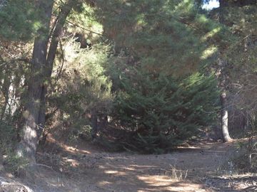 CRUCE LA MANGA,  CMNO CAMPO ALEGRE , BUCALEMU