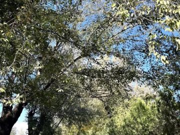 VENTA DE LOTE  LA MAGDALENA BARRIO GOLD CANNING