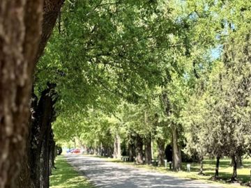 VENTA DE LOTE  LA MAGDALENA BARRIO GOLD CANNING