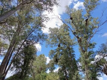 VENTA DE LOTE  LA MAGDALENA BARRIO GOLD CANNING