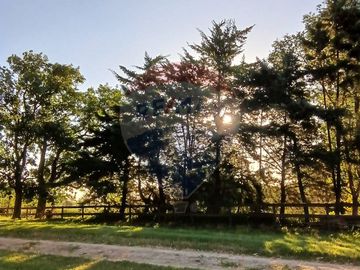 VENTA - LOTE 14.603 m² - CHACRAS DE OLIVIA, ZÁRATE