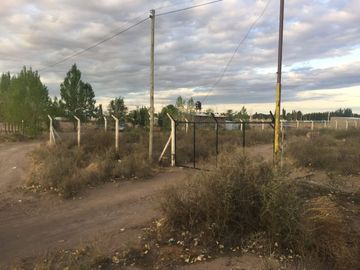 Venta 7 Hectáreas 7 Galpones Pareditas San Carlos