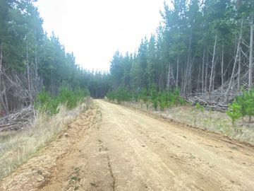 Parcela en venta  en PICHILEMU