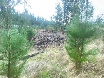 Parcela en venta  en PICHILEMU