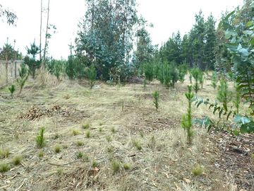 Parcela en venta  en PICHILEMU