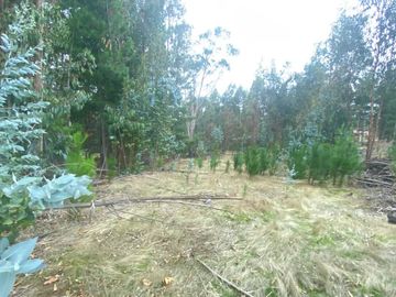 Parcela en venta  en PICHILEMU