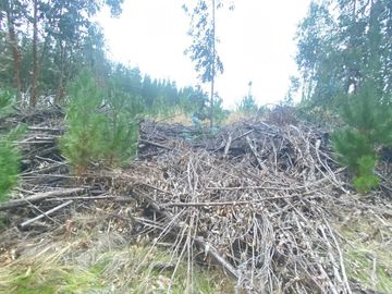 Parcela en venta  en PICHILEMU