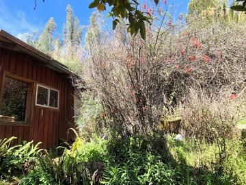 Venta de linda parcela con dos casas en Olmué, Quebrada Alvarado, casi al final. 128 M$