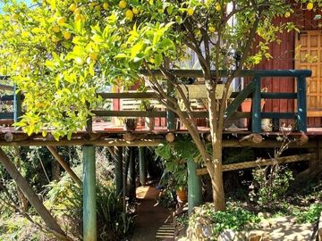 Venta de linda parcela con dos casas en Olmué, Quebrada Alvarado, casi al final. 128 M$