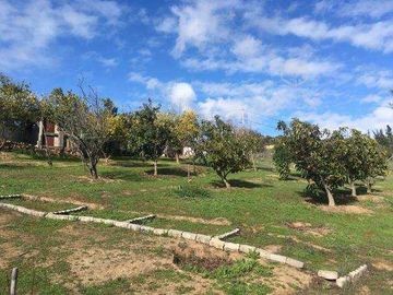 Parcela en venta  en MELIPILLA