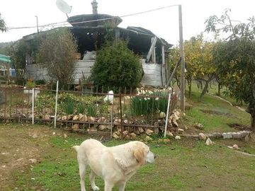 Parcela en venta  en MELIPILLA