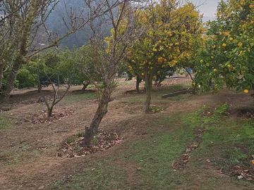 Parcela en venta  en MELIPILLA
