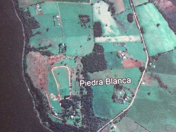 Parcela en venta  en LOS MUERMOS