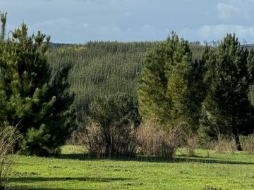 Parcela en venta  en FLORIDA