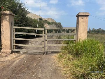 Terreno a la Venta de 17,541 M2 En Mala