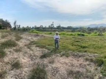 Terreno a la Venta de 17,541 M2 En Mala