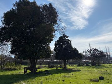VENDE TERRENO 7.930 M2 EL PERAL LAGUNA ACULEO PAINE