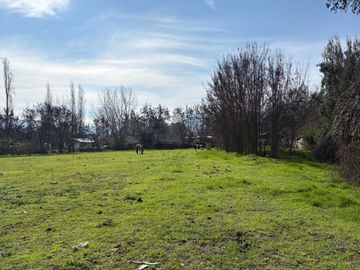 VENDE TERRENO 7.930 M2 EL PERAL LAGUNA ACULEO PAINE
